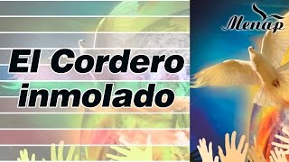 El Cordero Inmolado  Coro Menap [upl. by Suivatna473]