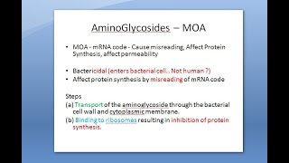 Pharmacology 743 a Aminoglycoside Streptomycin Gentamicin Tularemia Concentration Post Antibiotic [upl. by Aural226]