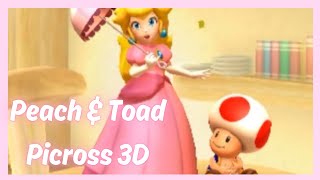 Picross 3D  Peach amp Toad [upl. by Ursel]