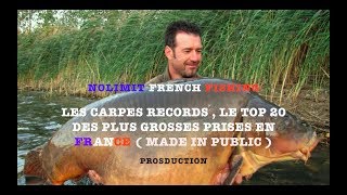 Les carpes records le top 20 des plus grosses prises en France  Made in public [upl. by Amehsyt]