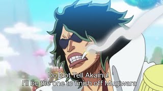 One Piece Episode 1080 sd 1081 English Sub FULL SCREEN FIXSUB [upl. by Kahlil320]