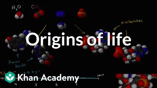 Origins of life  Biology  Khan Academy [upl. by Lorrin245]