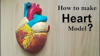 How to make Human Heart Model  Part 12 [upl. by Chak]