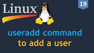 19  Linux for DevOps  Creating a User  useradd command  How to add a user on Linux [upl. by Ylrebma852]