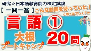 【一問一答・言語①】日本語教育能力検定試験まとめ [upl. by Gauthier271]