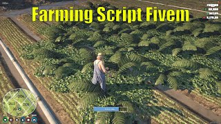 FARMING SCRIPT FOR GTA5 FIVEM ROLEPLAY SERVER  ESX FRAMEWORK [upl. by Anaitsirk]