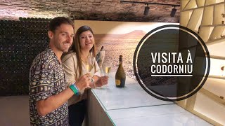 VISITA CODORNIU [upl. by Ehrlich659]