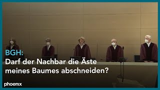 BGH Darf der Nachbar die Äste meines Baumes abschneiden [upl. by Melas]