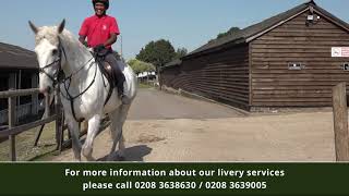 Trent Park Equestrian Centre Livery Yard [upl. by Woodberry]