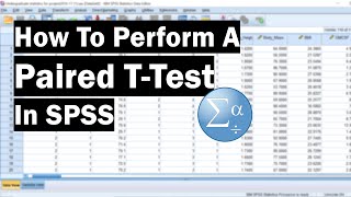 How To Perform A Paired TTest In SPSS [upl. by Christan]