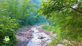 8 Hours Relaxing Nature Sounds  River Noise and Birdsong [upl. by Annaert]