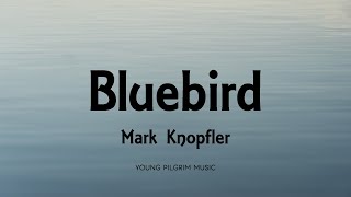 Mark Knopfler  Bluebird Lyrics  Privateering 2012 [upl. by Nehte695]