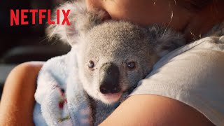 Cutest Koala Moments 🥰 Izzys Koala World  Netflix Jr [upl. by Airretnahs]