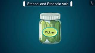 Ethanol and Ethanoic Acid  Part 11  English  Class 10 [upl. by Croft]