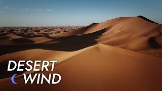 Desert Wind Sound  10 Hours  Stress Relief  Meditate  Sleep  Study  Desert Winds [upl. by Kippy]