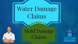 Water Damage Claims and Mold Damage Claims [upl. by Torry394]