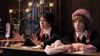 Harry Potter and The Order of Umbridge by The Hillywood Show® [upl. by Tollman]