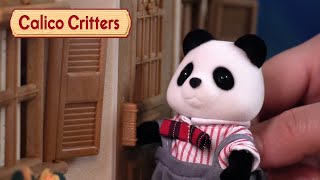 Sprucing up the Home ✨Compilation  Calico Critters [upl. by Junia50]