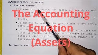 Basic Accounting  The Accounting Equation Assets [upl. by Neeuq]