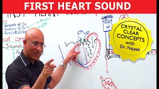 S1 Heart Sounds and Murmurs  First Heart Sound  Dr Najeeb🫀 [upl. by Nitsej244]