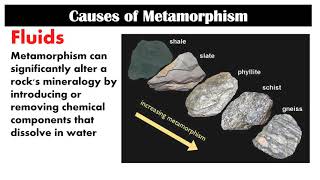 Metamorphism  Second Quarter  Lesson 51  Earth Science [upl. by Ilenna]