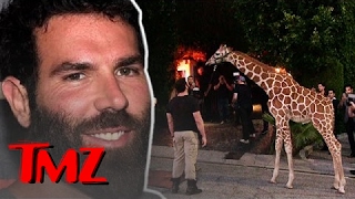 Dan Bilzerian threw another crazy party with tons of baby giraffes …  TMZ [upl. by Kciwdahc43]