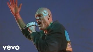 Midnight Oil  US Forces Live [upl. by Lammaj]