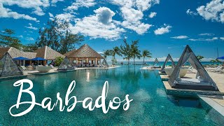 Top 5 Best Resorts In Barbados  Best Hotels In Barbados [upl. by Aira]