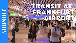 TRANSIT WALK AT FRANKFURT Airport FRA Terminal 1  Connection Flight Transfer Arriving amp Departing [upl. by Rayford]