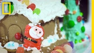 The History of Gingerbread A Tasty Holiday Tale  National Geographic [upl. by Leona868]