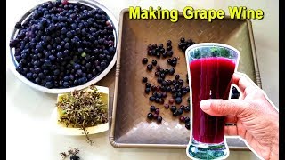 How To Make Grape Wine at Home  Homemade Red Wine Recipe  Craft Village [upl. by Lhok303]