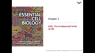 All about Cells The fundamentals units of life [upl. by Amsirp]