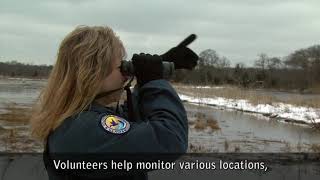 Welcome Video  Edwin B Forsythe National Wildlife Refuge  Closed Captioned [upl. by Launame]