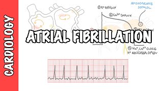 Atrial Fibrillation Overview  ECG types pathophysiology treatment complications [upl. by Aissak]