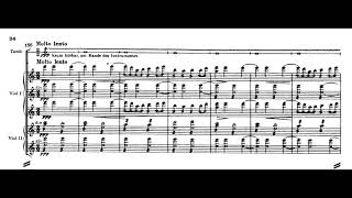 Jean Sibelius Lemminkäinen suite  Lemminkäinen in Tuonela with score [upl. by Aleak416]