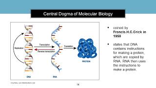 Introduction to Molecular Biology [upl. by Kristie]