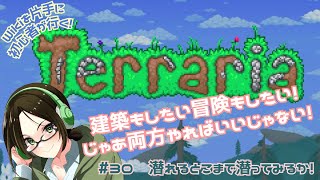 【Terrariaテラリア】地下、ちょっと行ってみっか【30】 [upl. by Darej]