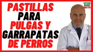 🔴 Pastillas para Pulgas y Garrapatas de Perros 🔴 TOP Pastillas Antipulgas y Garrapatas para perros [upl. by Llehsar]