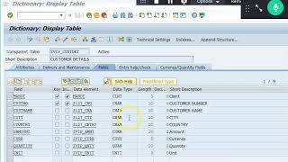 SAP Maintenance View [upl. by Goddart]