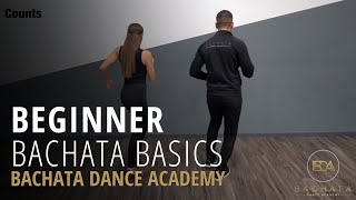 Bachata Beginner Basic Steps Tutorial  Demetrio amp Nicole  Bachata Dance Academy [upl. by Laira]