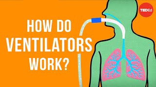 How a mechanical ventilator works  AFP [upl. by Coralyn105]