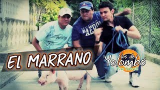 El Marrano  Los De Yolombó l Video Oficial [upl. by Teleya]