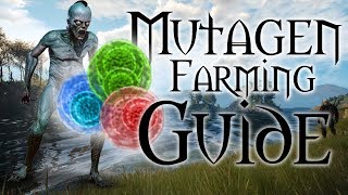 Mutagenerator Farming Guide  The Witcher 3 [upl. by Ferro]