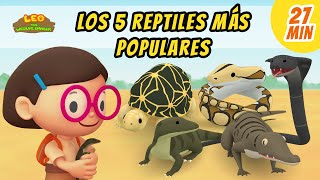 Los 5 Reptiles Más Populares Episodio Compilación Español  Leo El Explorador  Animación [upl. by Nlyak]