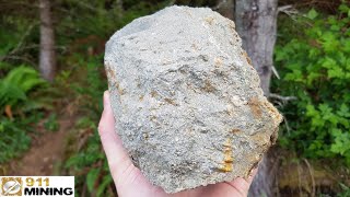 Ultra High Grade Silver Ore  Gold Platinum amp Palladium From A Small Quarry [upl. by Yendroc]