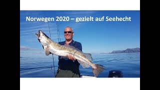 Norway Fishing 2020  gezielt auf Seehecht [upl. by Adnirim]