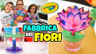 LA FABBRICA DEI FIORI CRAYOLA Come Fare Fiori Colorati Incredibili [upl. by Nyad]