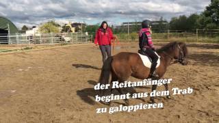 Reiten lernen mit der PonyTruppe  Teil 11  Der Galopp [upl. by Nicolis]