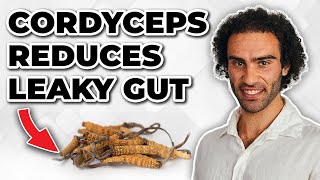 Cordyceps Mushroom Heals Leaky Gut More Benefits Cordyceps Militaris [upl. by Yslehc]