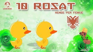 Five Little Ducks Nursery Rhymes  Albanian Rhymes  Bleta ™ [upl. by Meldon485]